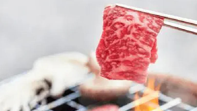 Wagyu Tenderloin Marbling