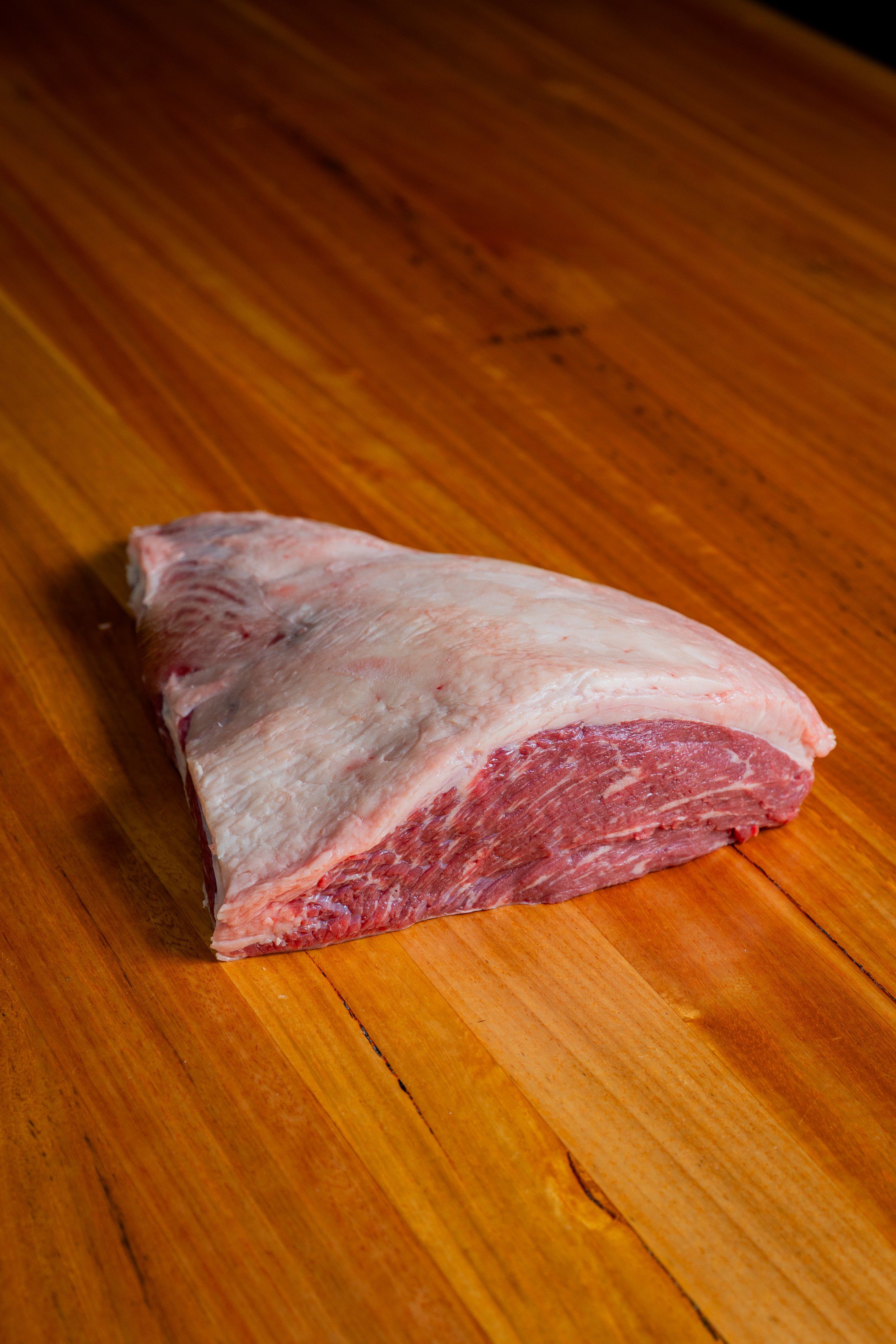 TW Black Angus D-Rump MS 4-5
